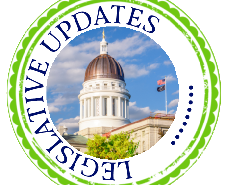 Legislature to hold public hearing on bill regulating ICE access to schools, hospitals, daycares, and libraries