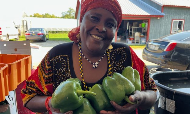 Liberation Farms looks forward to 2025 season  