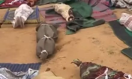 Dozens of civilians killed in drone strike on El Fasher mosque as humanitarian crisis worsens