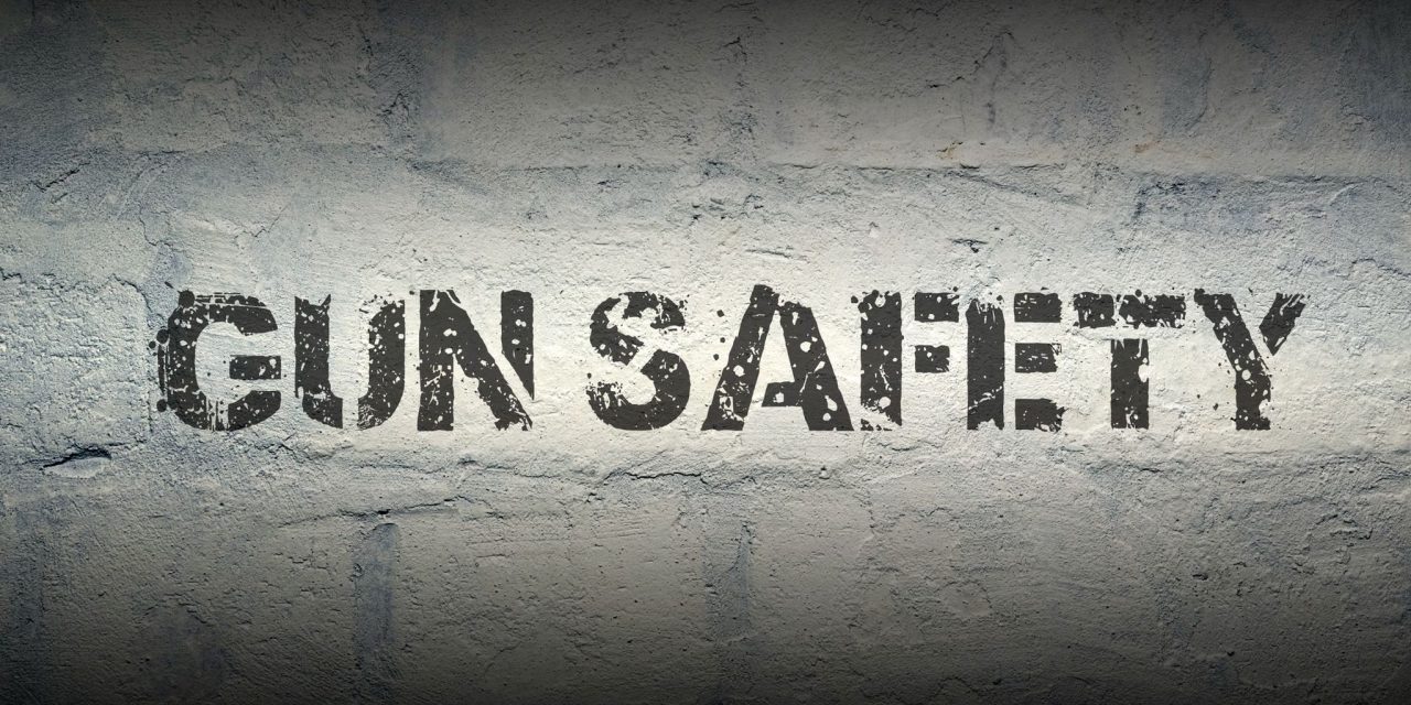 Mainers to vote on gun safety