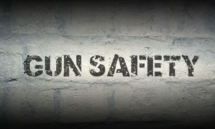 Mainers to vote on gun safety