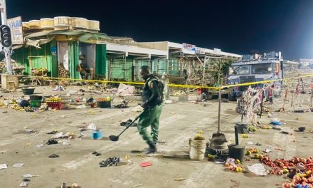 Dozens killed, more than 100 injured as suicide bombers attack Nigeria’s Borno State