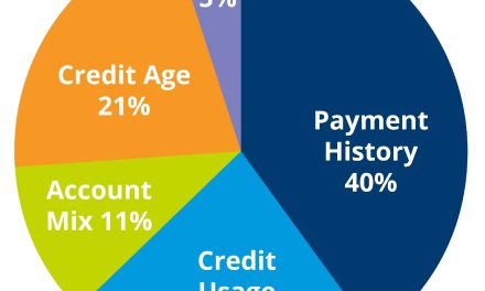 Credit Basics: How credit scores, credit cards, and borrowing work in the U.S. 