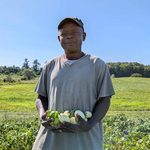 For Maine’s African immigrants, a 50-acre Wales farm is growing a taste of home