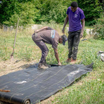 Farming familiar flavors: Amos Kazadi’s Maine harvest